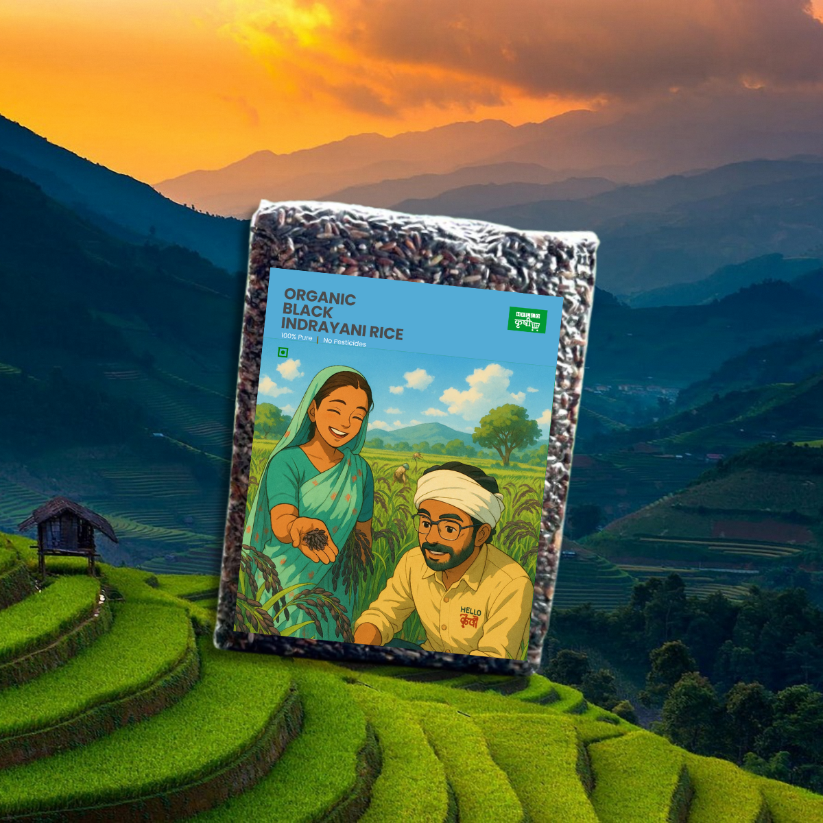 Indrayani Black Rice – Rare, Nutrient-Rich & Organically Grown Superfood